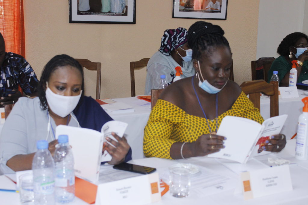 Rencontre regionale La stabilite democratique comme solution a la consolidation de la paix en Afrique de lOuest 0084