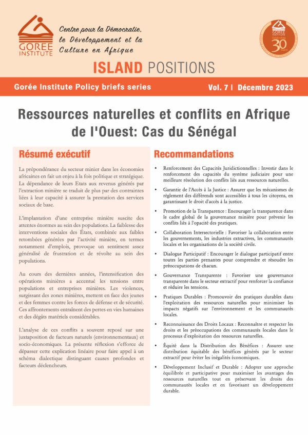 Island Positions vol. 7 – Gorée Institute Policy briefs series